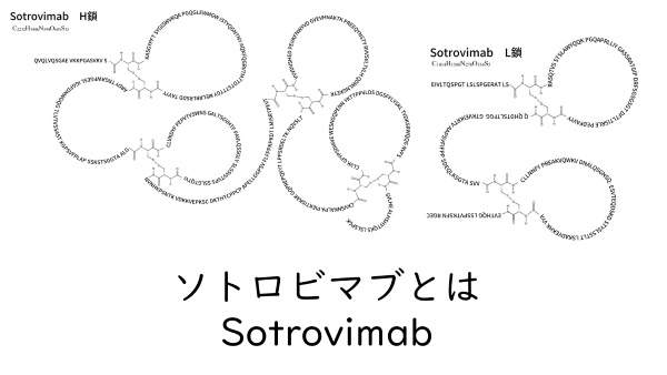 ソトロビマブ構造